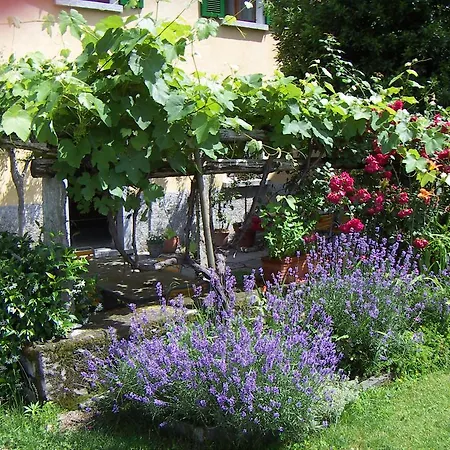 Gasthof Casa Gialla *